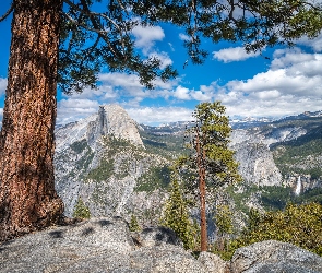 Szczyt Half Dome, Góry, Stany Zjednoczone, Sosny, Park Narodowy Yosemite, Kalifornia, Drzewa