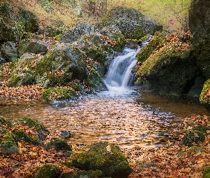Liście, Rzeka, Skały, Głazy
