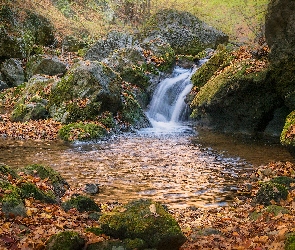 Skały, Liście, Rzeka, Głazy