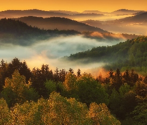 Beskidy, Góry, Polska, Zawoja, Mgła, Wschód słońca, Lasy