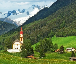 Las, Drzewa, Kościół, Góry