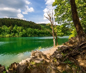 Wzgórze, Rzeka, Chmury, Drzewa, Kamienie, Niebo, Las