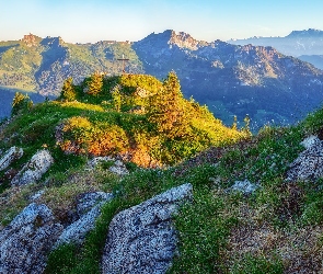 Skały, Góry, Góra Saukarkopf, Austria, Drzewa, Krzyż, Trawa, Niskie Taury
