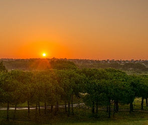 Zachód słońca, Wzgórze, Domy, Drzewa