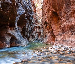 Zion Narrows, Kanion, Stany Zjednoczone, Virgin River, Park Narodowy Zion, Stan Utah, Rzeka