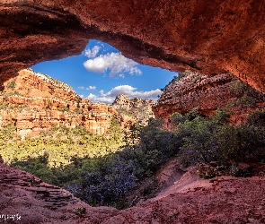 Skały, Czerwone, Stany Zjednoczone, Cathedral Rocks, Sedona, Arizona, Krzewy