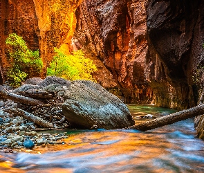 Kanion Zion Narrows, Rzeka Virgin River, Park Narodowy Zion, Kamienie, Stan Utah, Skały, Stany Zjednoczone, Drzewa