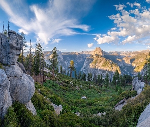 Drzewa, Skały, Punkt widokowy, Góry, Park Narodowy Yosemite, Stany Zjednoczone, Glacier Point, Kalifornia, Sierra Nevada, Dolina, Yosemite Valley