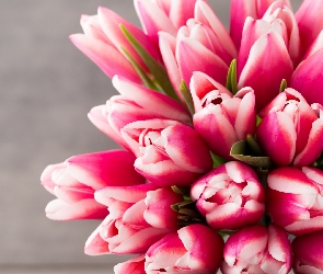 Kwiaty, Tulipany, Biało-różowe, Bukiet