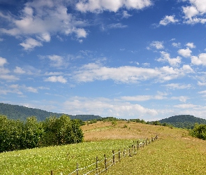 Łąka, Niebo, Drzewa, Wzgórze, Ogrodzenie