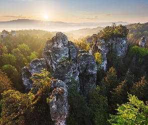 Skały, Park Narodowy Saskiej Szwajcarii, Wschód słońca, Niemcy, Lasy, Drzewa, Góry Połabskie