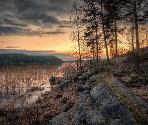 Jezioro Ładoga, Chmury, Zachód słońca, Drzewa, Karelia, Skały, Rosja, Szuwary