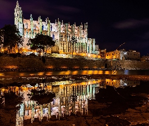 Katedra La Seu, Odbicie, Oświetlona, Noc, Majorka, Kościół, Hiszpania, Palma de Mallorca