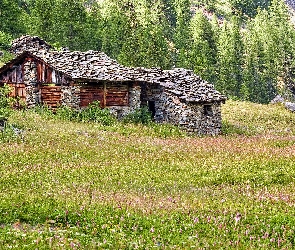 Domy, Las, Drzewa, Łąka, Kamienne