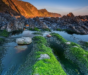 Wybrzeże, Góry, Anglia, Skały, Kamienie, Morze, Wodorosty, Devon, Plaża, Mouthmill Beach, Glony