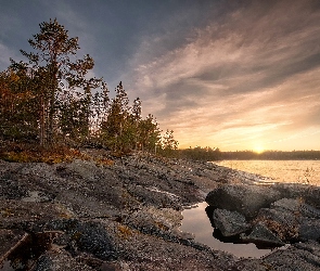 Zachód słońca, Drzewa, Rosja, Jezioro Ładoga, Karelia, Skały