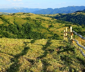 Lasy, Ogrodzenie, Góry, Wzgórza