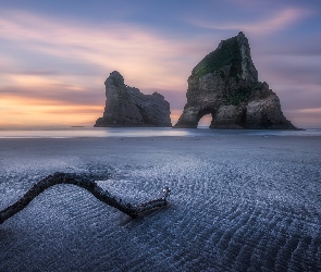 Skały, Wybrzeże, Morze Tasmana, Konar, Wharariki Beach, Nowa Zelandia, Plaża