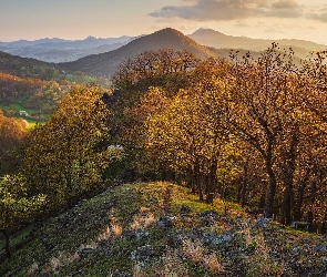 Jesień, Drzewa, Góry, Wzgórza