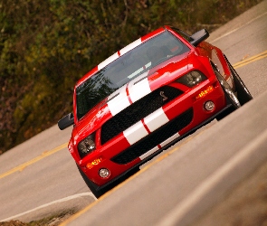Ford Mustang, Super, Shelby