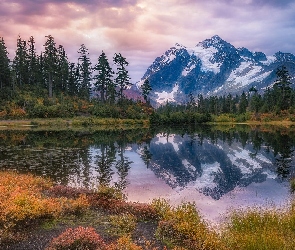 Góry, Stany Zjednoczone, Odbicie, Park Narodowy Północnych Gór Kaskadowych, Stan Waszyngton, Picture Lake, Góra, Mount Shuksan Drzewa, Jezioro