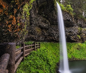 Wodospad, Ogrodzenie, Skały, Drzewa, Stany Zjednoczone, Hrabstwo Multnomah, Roślinność, Oregon, Latourell Falls