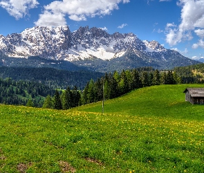 Góra Latemar, Dolomity, Dom, Włochy, Góry, Łąka, Las