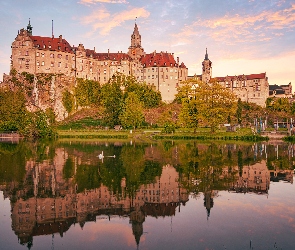 Łabędzie, Zamek Sigmaringen, Niemcy, Drzewa, Chmury, Niebo, Zachód słońca, Rzeka Dunaj