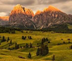 Drzewa, Chmury, Dolomity, Dolina, Drewniane, Włochy, Góry Sassolungo, Domy, Val Gardena, Płaskowyż, Seiser Alm