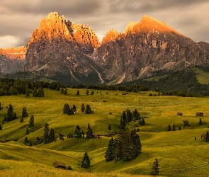 Drzewa, Val Gardena, Włochy, Góry Sassolungo, Płaskowyż, Dolomity, Dolina, Domy, Chmury, Drewniane, Seiser Alm