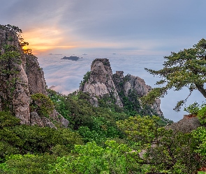 Szczyty, Korea Południowa, Park Narodowy Bukhansan, Dobongsan, Skały, Drzewa, Góry