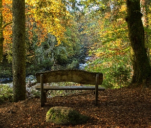 Las, Drzewa, Jesień, Kamienie, Ławka, Strumień