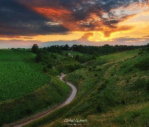 Grodzisko Stradów, Ponidzie, Zielone, Polska, Zachód słońca, Droga, Pola