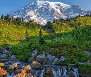 Rzeka, Edith Creek, Góry, Kamienie, Park Narodowy Mount Rainier, Stany Zjednoczone, Stratowulkan, Stan Waszyngton, Strumień, Mount Rainer, Łąka