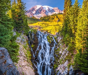 Wodospad, Góry, Park Narodowy Mount Rainier, Stany Zjednoczone, Drzewa, Myrtle Falls, Stan Waszyngton, Stratowulkan Mount Rainier