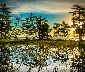 Szuwary, Jezioro, Zachód słońca, Drzewa, Chmury, Promienie, Trawa