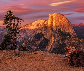 Stany Zjednoczone, Rozświetlona, Drzewa, Góra, Góry, Skały, Park Narodowy Yosemite, Zachód słońca, Kalifornia, Half Dome