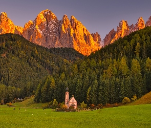Santa Maddalena, Dolina Val di Funes, Włochy, Kościół św Jana, Las, Łąka, Południowy Tyrol, Drzewa, Wieś, Góry, Dolomity