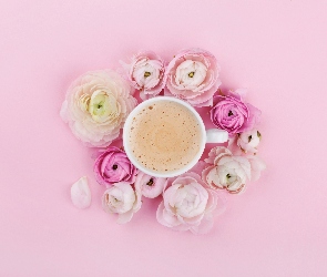 Kawa, Cappuccino, Tło, Jaskry, Różowe, Kwiaty