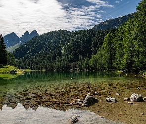 Lai da Palpuogna, Jezioro, Szwajcaria, Alpy Retyckie, Drzewa, Gryzonia, Góry