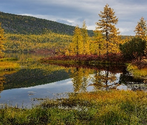 Roślinność, Drzewa, Jezioro, Jesień