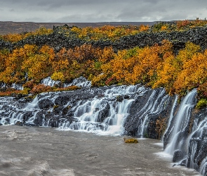Jesień, Żółte, Islandia, Skały, Wodospad Hraunfossar, Krzewy