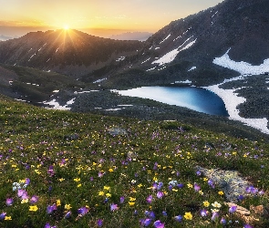 Góry, Kwiaty, Promienie słońca, Łąka, Jezioro