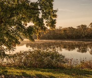 Jezioro, Promienie słońca, Krzewy, Poranek, Drzewa