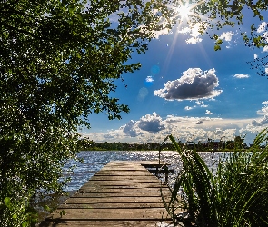 Promienie słońca, Chmury, Pomost, Jezioro, Drzewo, Szuwary