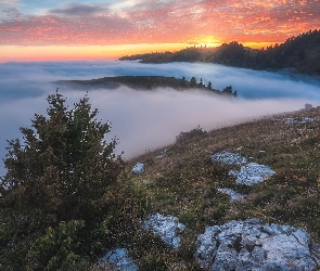 Góry, Las, Chmury, Mgła, Zachód słońca, Drzewa