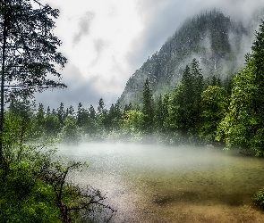 Jezioro Koppenwinkellacke, Góry, Austria, Drzewa, Mgła, Obertraun, Ścieżka