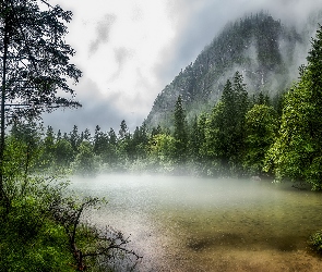 Obertraun, Mgła, Jezioro Koppenwinkellacke, Austria, Drzewa, Góry, Ścieżka