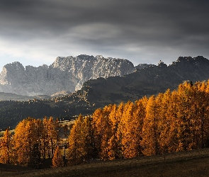 Góry, Włochy, Chmury, Las, Drzewa, Jesień, Dolomity