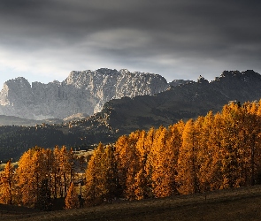 Jesień, Drzewa, Góry, Chmury, Las, Włochy, Dolomity